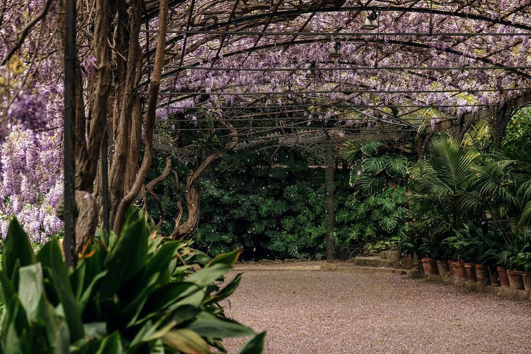A picture of a Garden