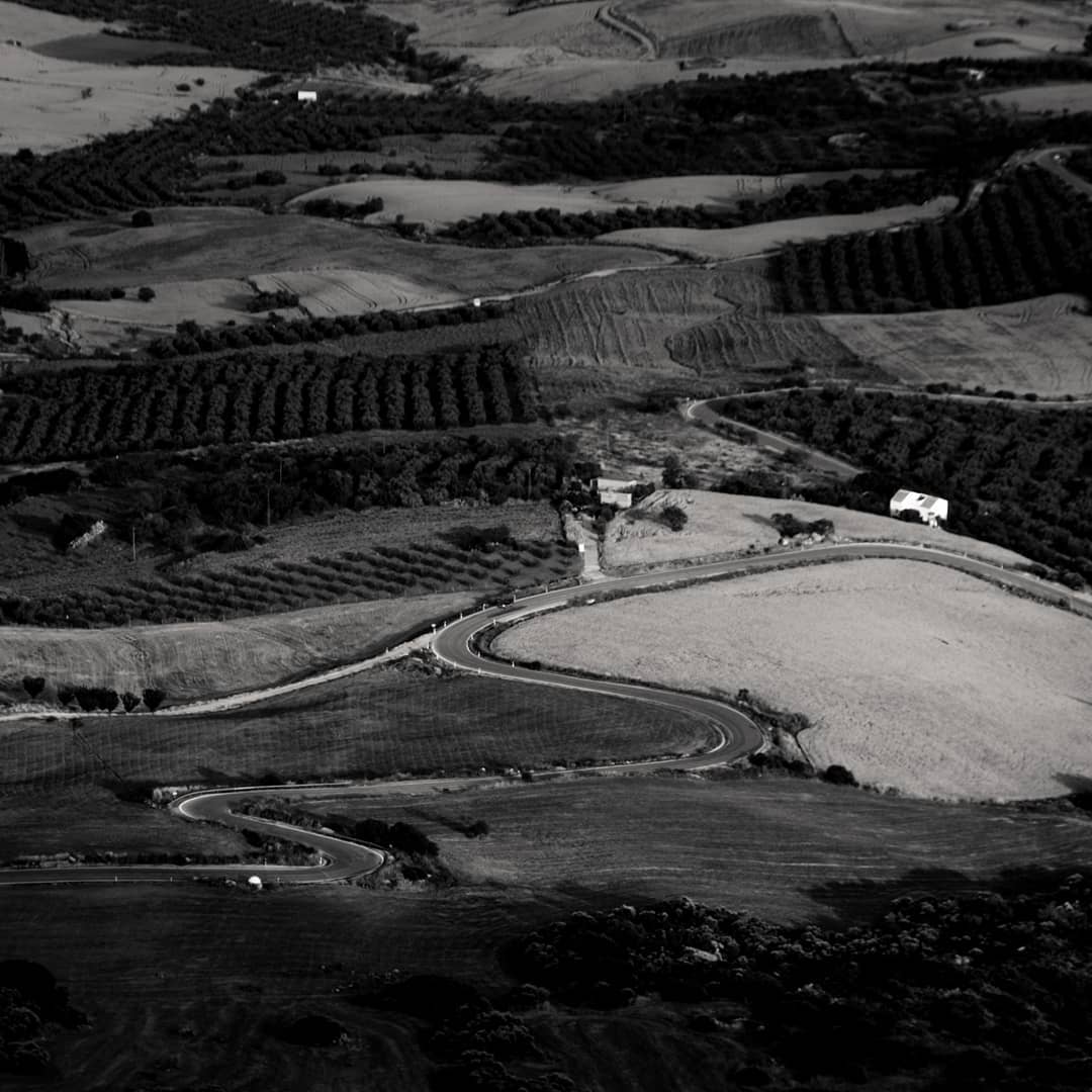 A picture of a black and white landscape