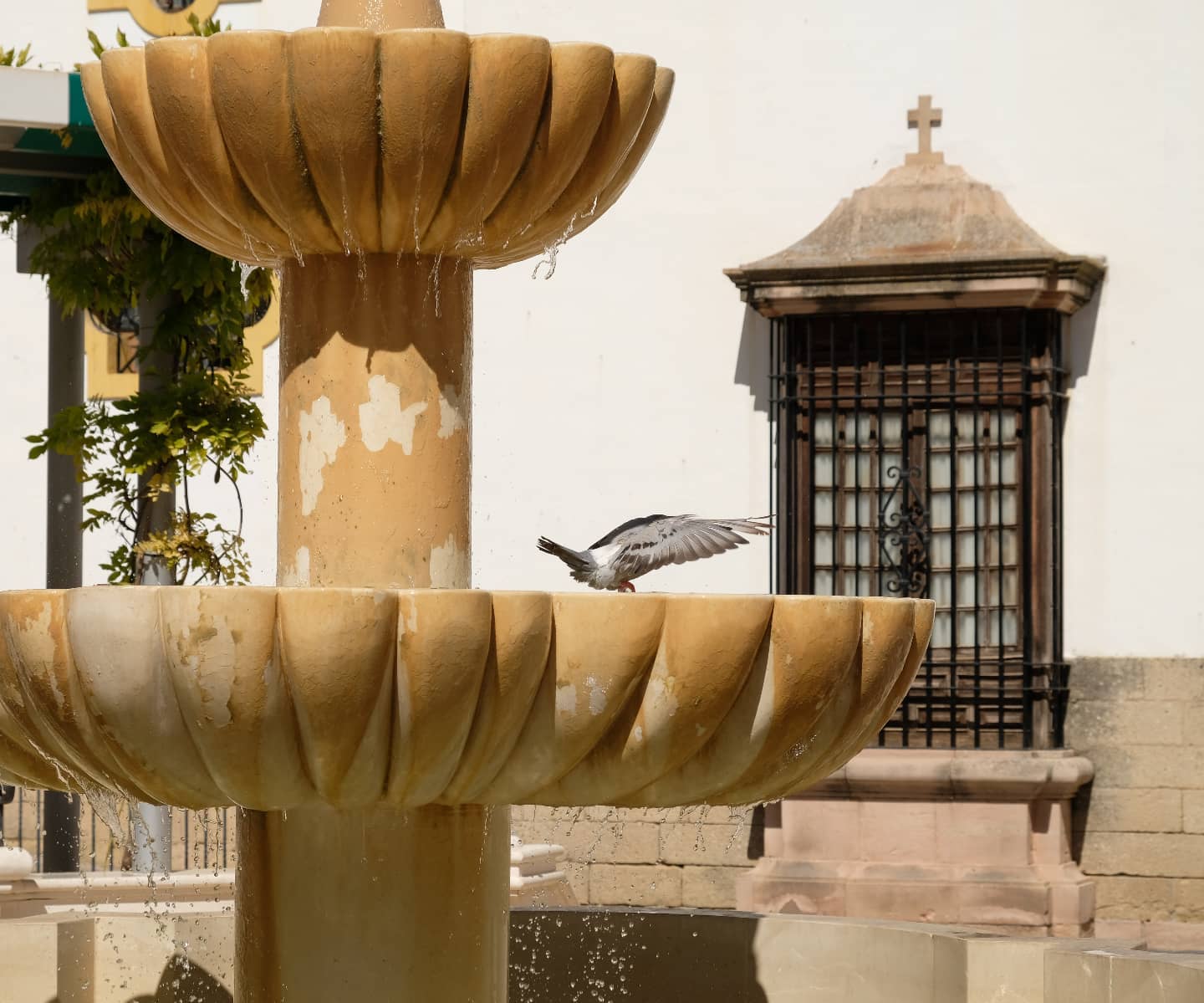 A picture of a Bird in fountain