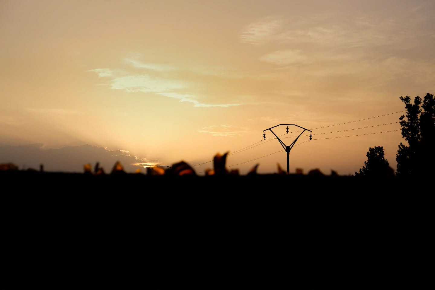 A picture of a landscape at sunset