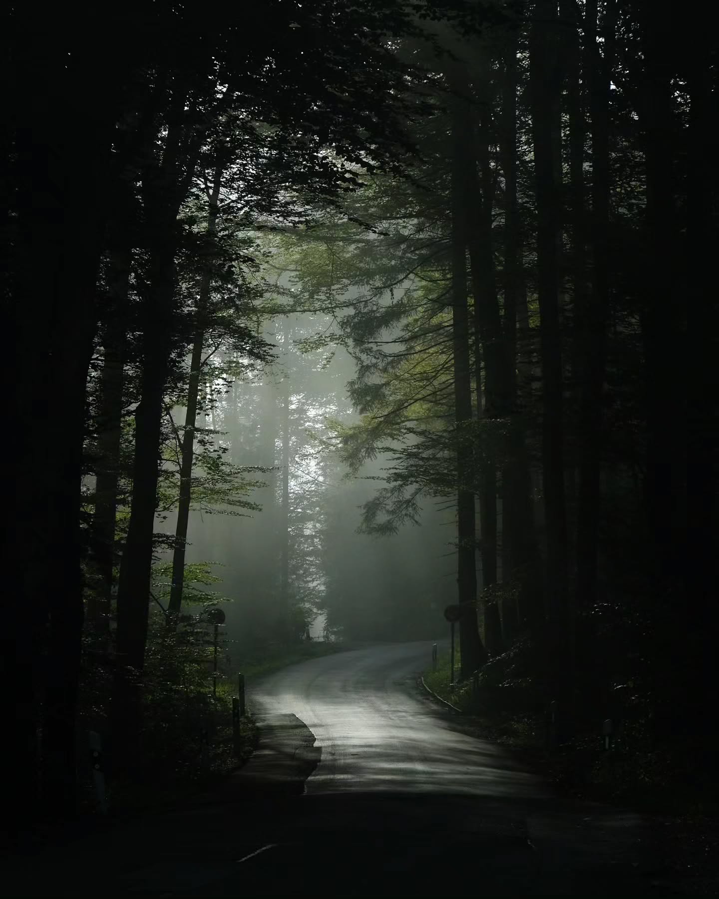 A picture of a city foggy forest road