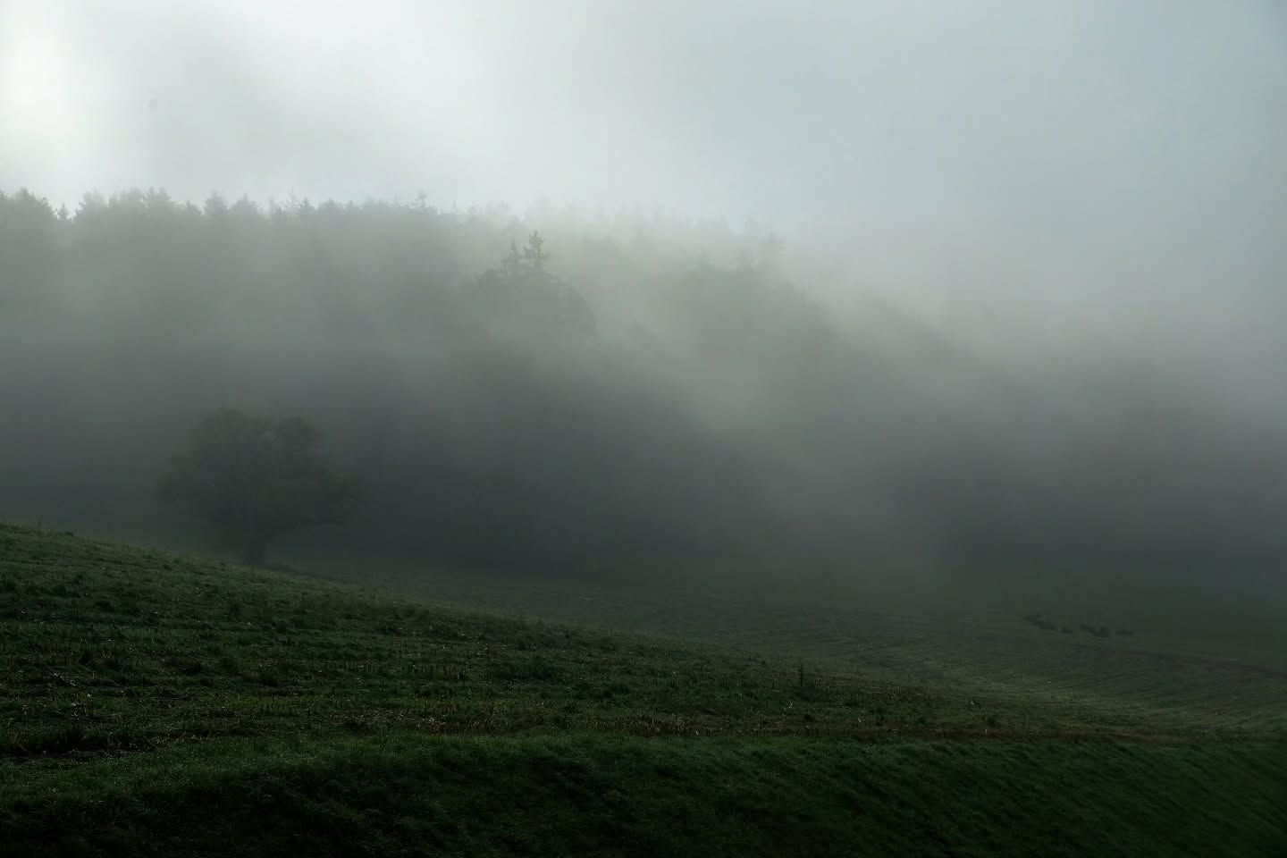 A picture of a city foggy landscape
